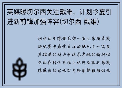 英媒曝切尔西关注戴维，计划今夏引进新前锋加强阵容(切尔西 戴维)